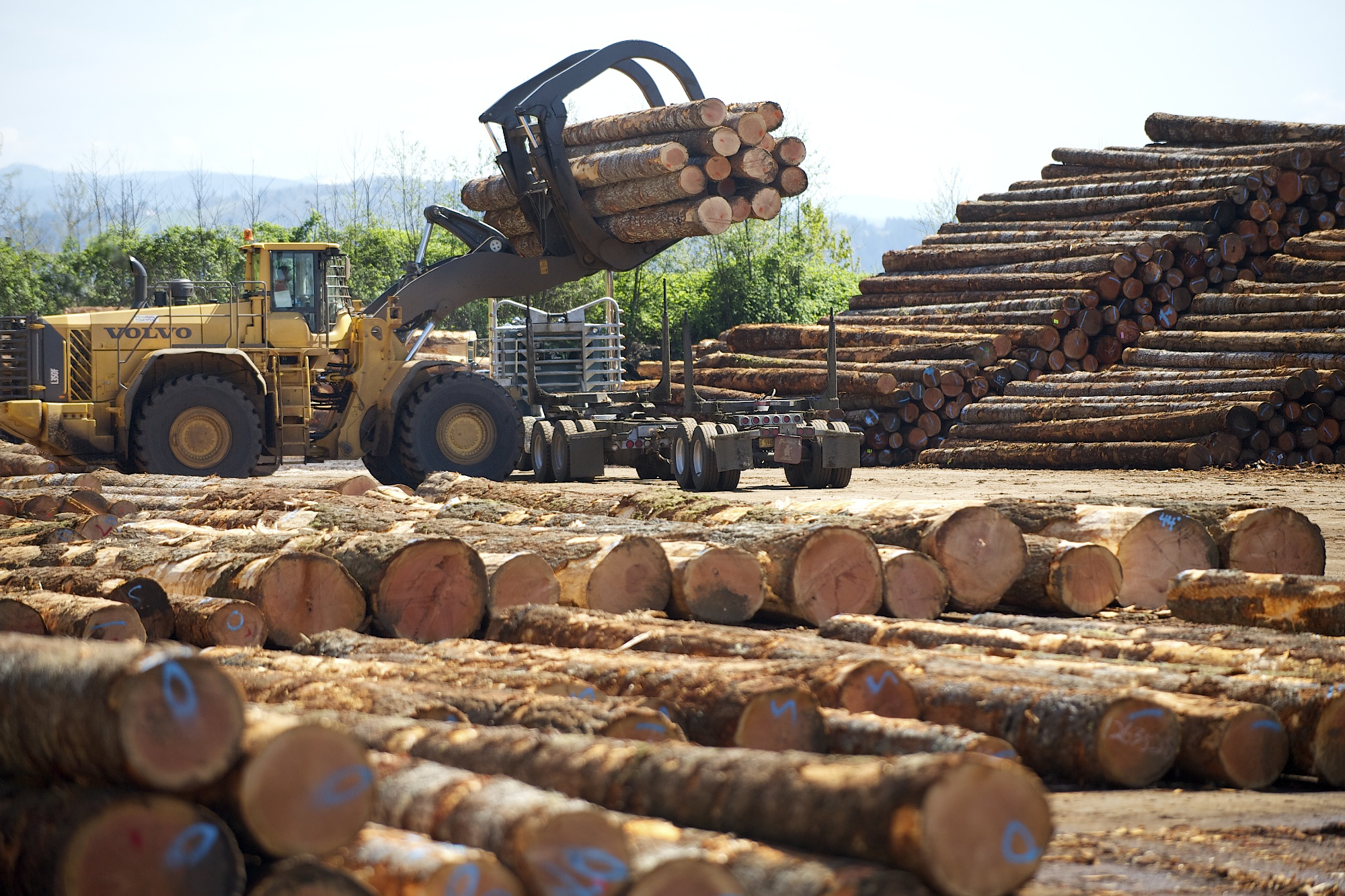 timber-ops